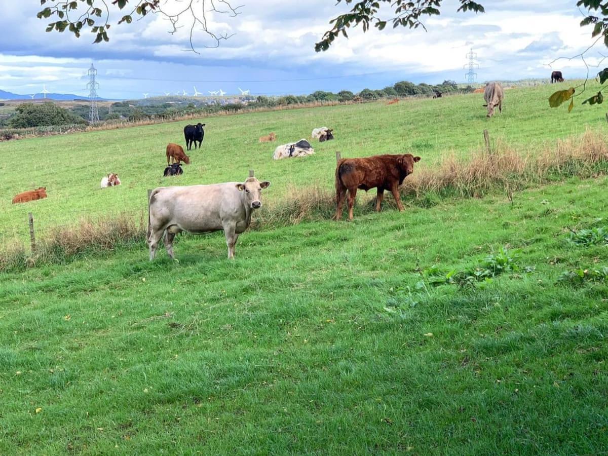 Meadow View Villa Lochgelly Buitenkant foto